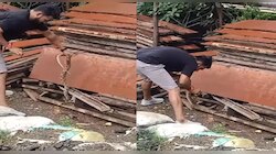 ट्रेनिंग नसताना सापाला पकडणं तरुणाला पडलं महाग, अशी चूक तुम्ही करु नका... पाहा Video