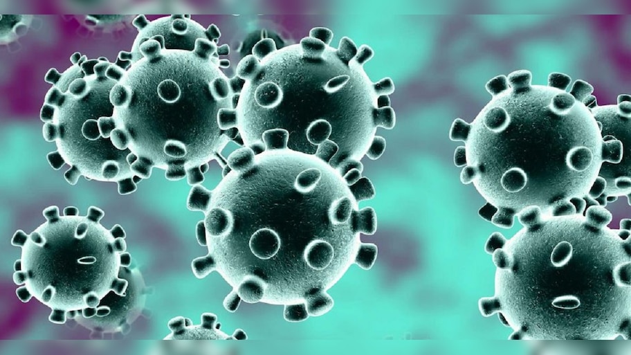 कोरोनाबाबत अतिशय महत्त्वाची बातमी, जगाची 10 टक्के लोकसंख्या Coronavirus च्या विळख्यात ?
