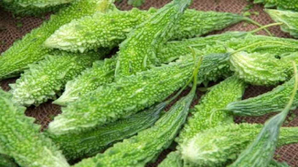 health tips dont try to eat these food after having bitter gourd milk alcohol curd colddrink gh