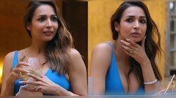 "Private Life दाखवत पैसे कमवले अन् आला फ्री ड्रिंक्ससाठी...", Malaika Arora ट्रोलिंगची शिकार