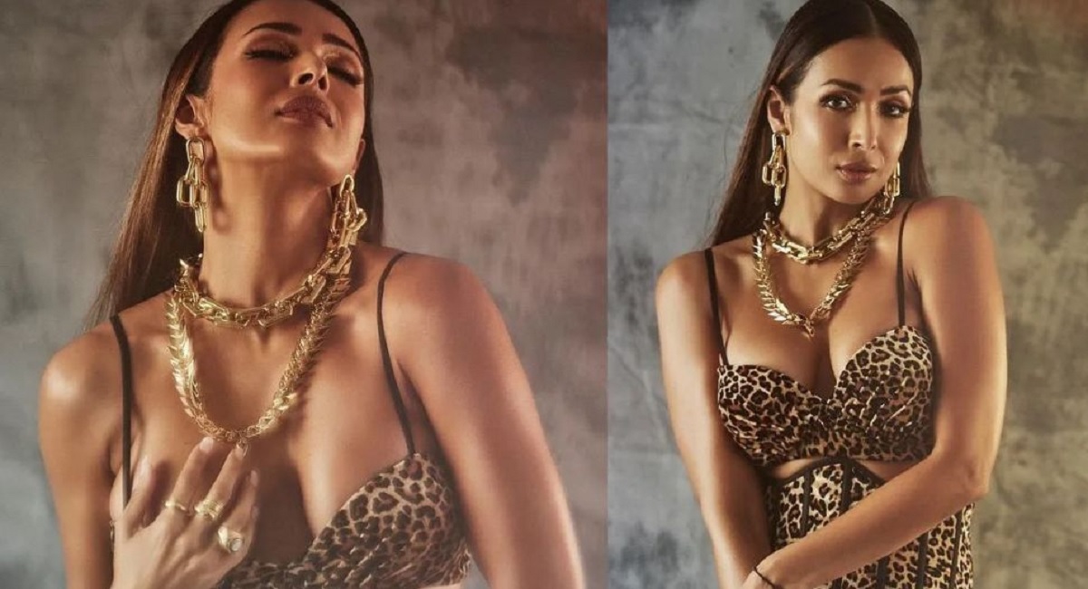 चित्रपटसृष्टीपासून लांब तरी Malaika Arora महिन्याला कमावते इतके कोटी, आकडे ऐकून तुम्हालाही बसेल मोठा धक्का चित्रपटसृष्टीपासून लांब तरी Malaika Arora महिन्याला कमावते इतके कोटी, आकडे ऐकून तुम्हालाही बसेल मोठा धक्का