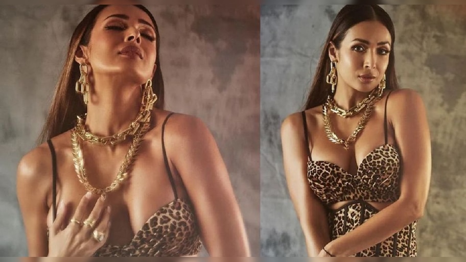 चित्रपटसृष्टीपासून लांब तरी Malaika Arora महिन्याला कमावते इतके कोटी, आकडे ऐकून तुम्हालाही बसेल मोठा धक्का