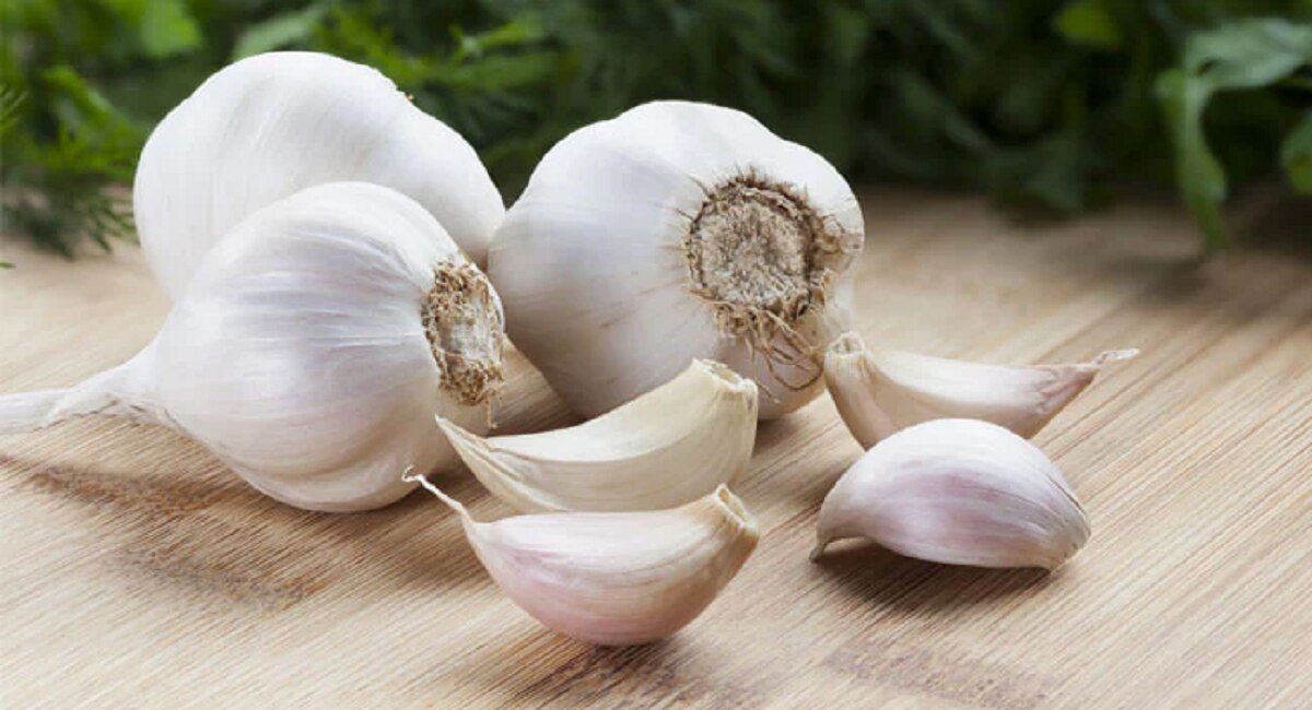 Garlic Side Effect Know the right way to eat garlic health tips in