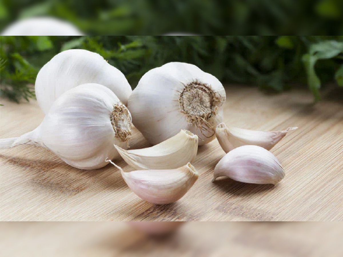 Garlic Side Effects: तुम्ही चुकीच्या पद्धतीनं लसूण खाताय का? एकदा पाहा योग्य पद्धत  title=