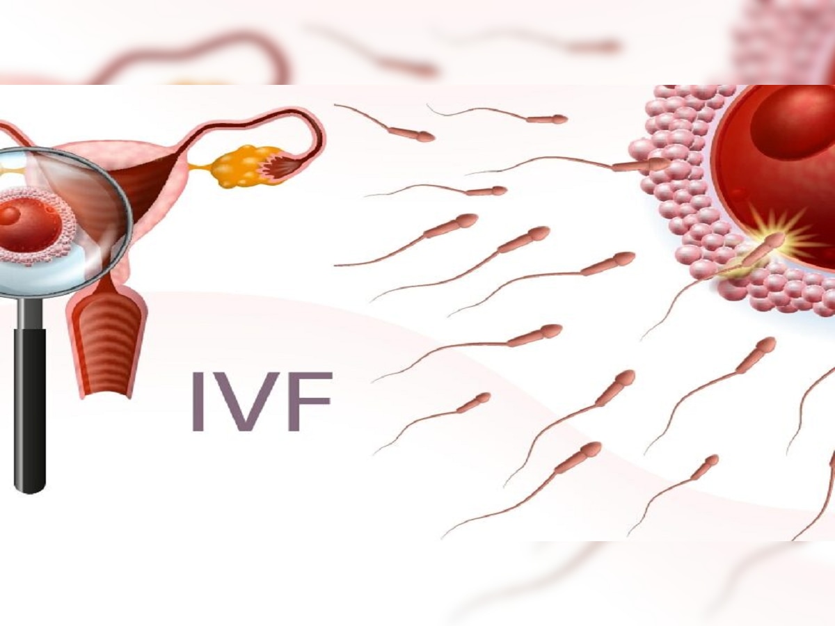 IVF Process :  वजन जास्त असलेल्या महिलांमध्ये IVF फेल होते ?...काय आहेत समज-गैरसमज title=