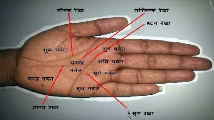 Spirituality News : Palmistry - These 4 lines of the hand tell ...