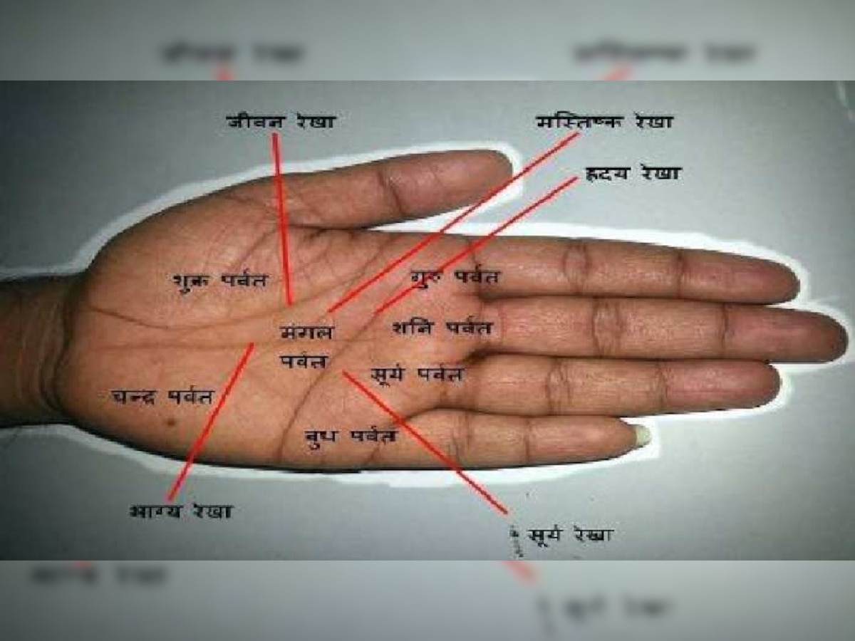 Palmistry: जीवनात काय घडणार आहे? हे हाताच्या या 4 रेषा सांगतात, जाणून घेण्याचा हा सोपा मार्ग title=