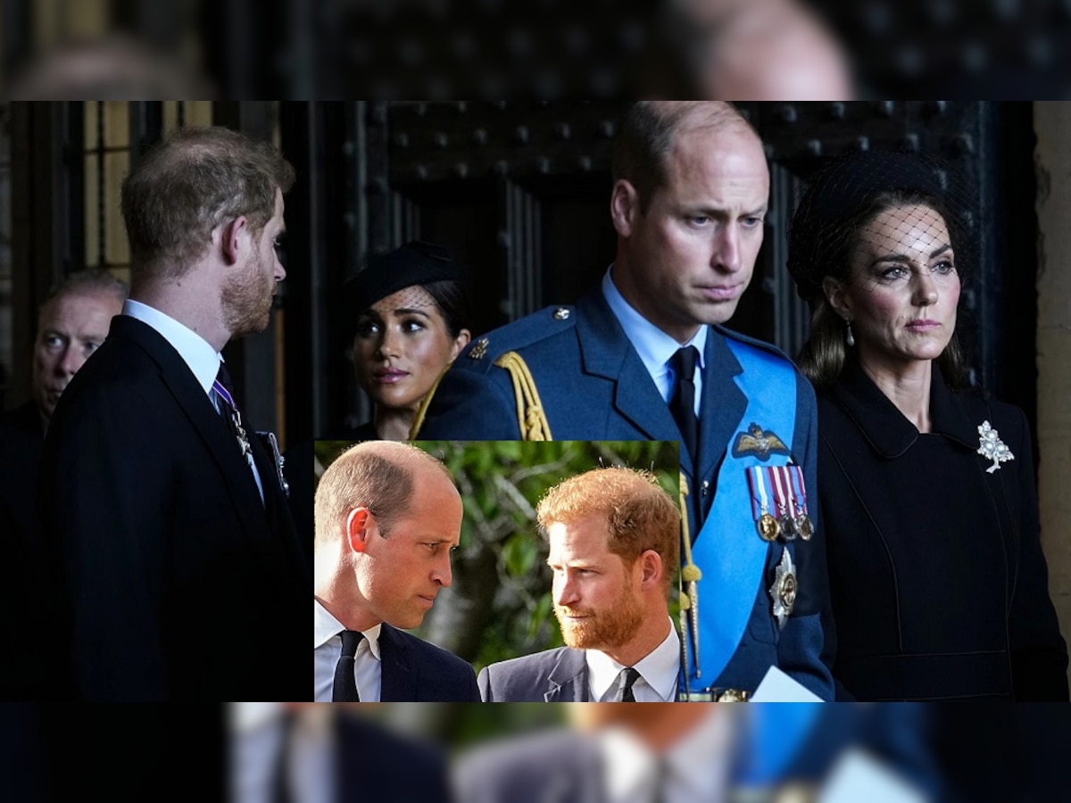 Prince Harry: ''माझी कॉलर पकडली, मला ढकललं आणि...'' ब्रिटनच्या प्रिन्स हॅरी यांच्यासोबत हे काय घडलं? title=