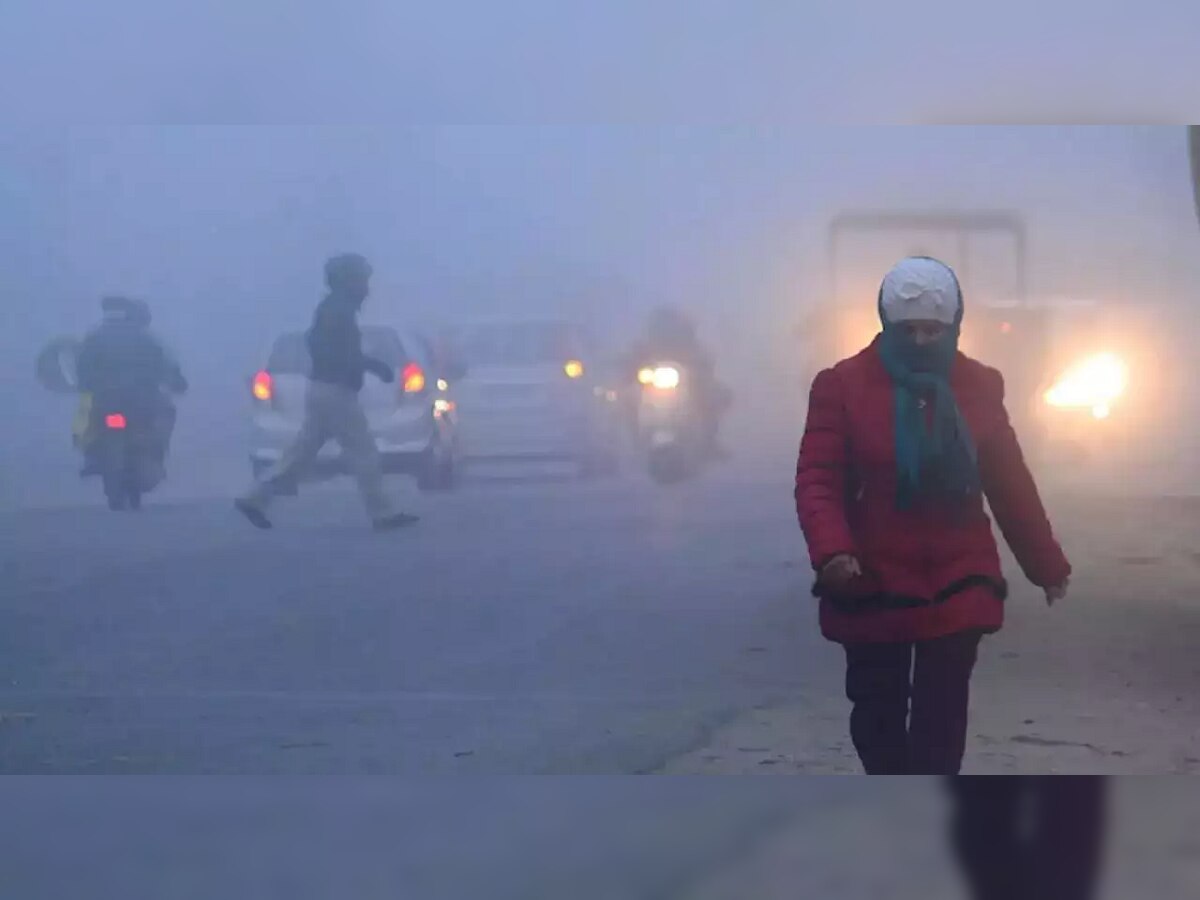 Weather Update : हिमाचलहूनही दिल्ली थंड, पाहा महाराष्ट्रातील तापमानाचा अचूक अंदाज  title=