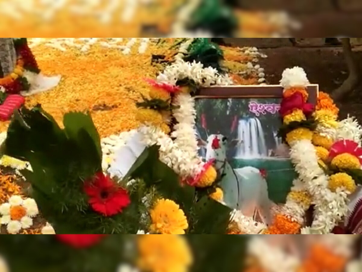 Death Anniversary of Cow :  ऐश्वर्याचे वर्षश्राद्ध...  'तो' पुन्हा ढसा ढसा रडला title=