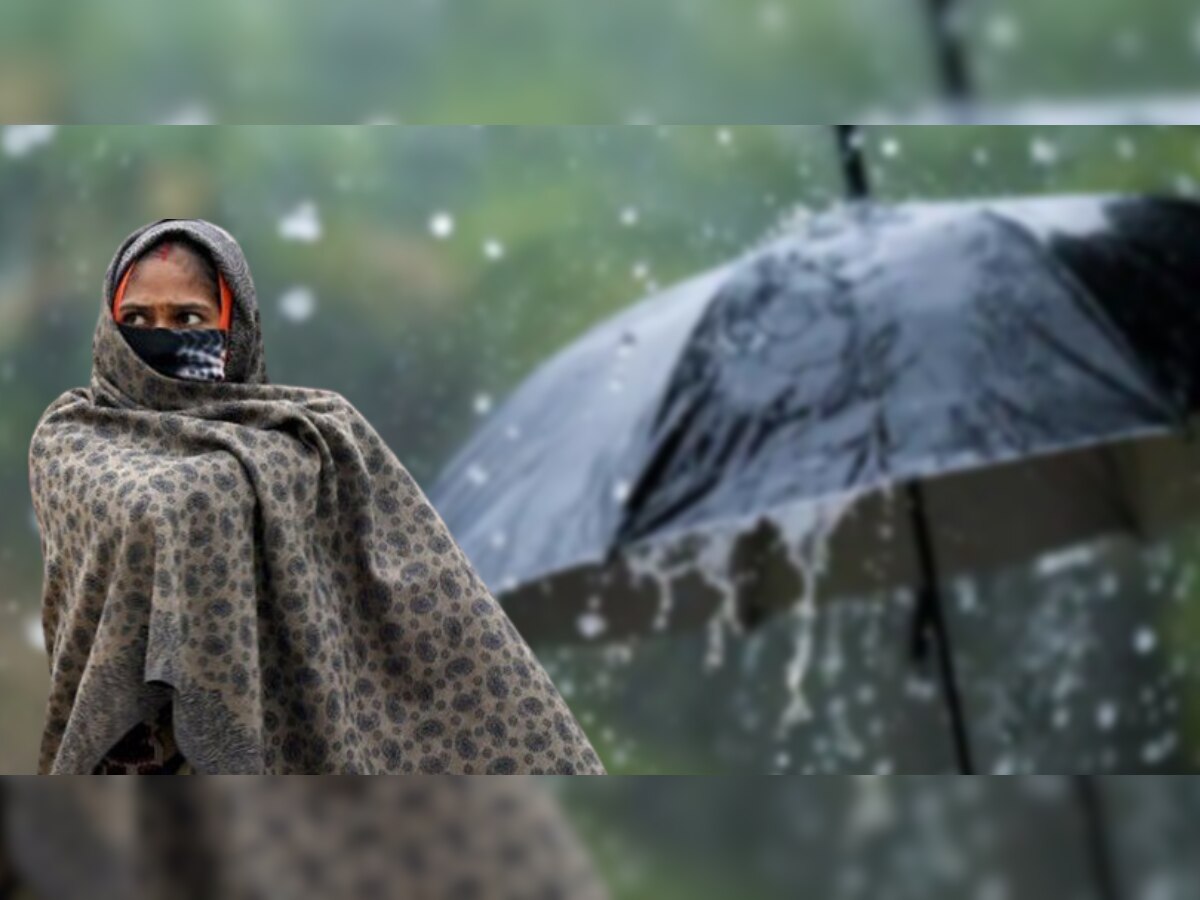 Weather Update : महाराष्ट्रात थंडीची लाट; हवमानान खातं म्हणतंय 'इथं' येणार पाऊस पाहा वाट   title=