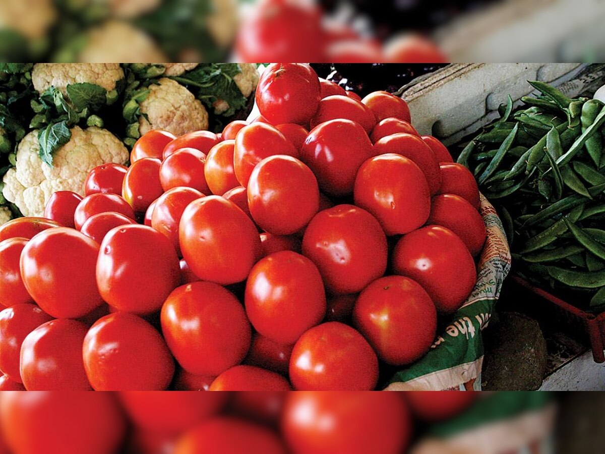 Tomato Side Effect : तुम्ही टोमॅटो खाण्याचे शौकीन आहात का? आताच व्हा सावध, अन्यथा आरोग्याची मोठी हानी  title=