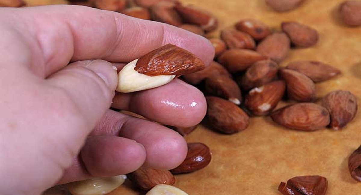 Almond Peel Benefits : Apply almond peel paste on face for glowing flawless skin this winter 