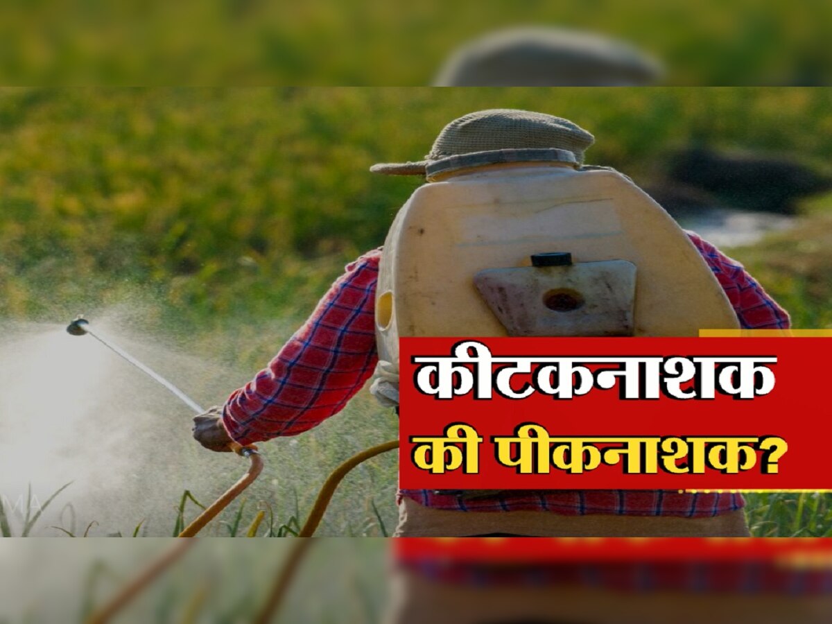 Maharashtra Farmer : एका क्षणात शेतकरी उद्ध्वस्त! डोळ्यादेखत 200 एकरवरील पीक नष्ट title=