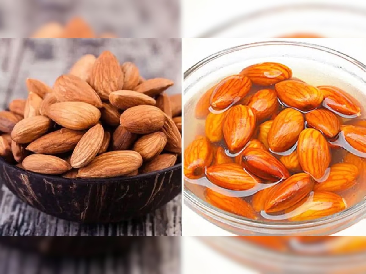 Side Effects Of Eating Almonds: बदाम खाण्याची पण असते एक मर्यादा, गरजेपेक्षा जास्त सेवन केल्यास काय होतं ते वाचा title=