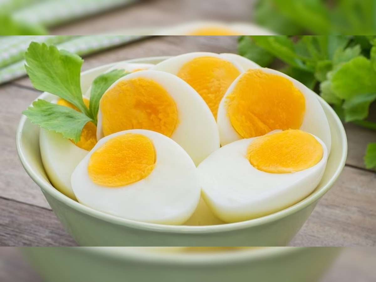  Egg yolk चे फायदे आहेत की नुकसान... समजून घ्या आरोग्याच्या दृष्टीनं खावं की नाही?  title=