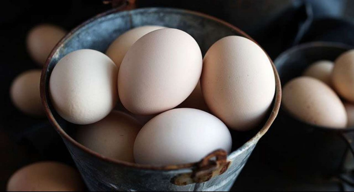 Egg Rates increases in mumbai know new rates latest Marathi news Mumbai Egg Rate अंड्यांचे