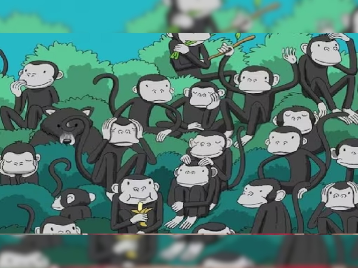 Optical Illusion:माकडांमध्ये लपलेला अस्वल शोधून दाखवा, तुमच्याकडे 30 सेकंदाची वेळ  title=