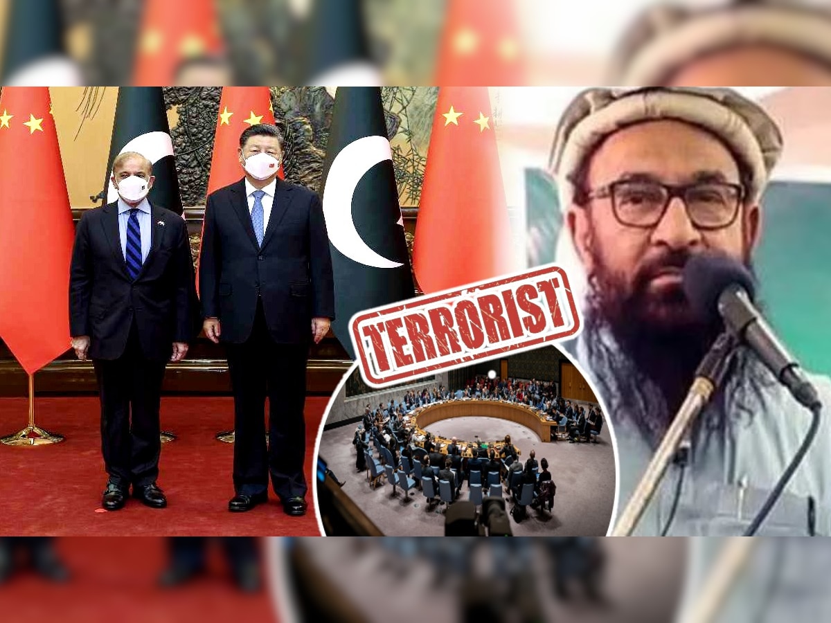 Abdul Makki Global Terrorist: मक्की जागतिक दहशतवादी! चीनचा पाकिस्तानला धक्का; भारताला फायदा title=