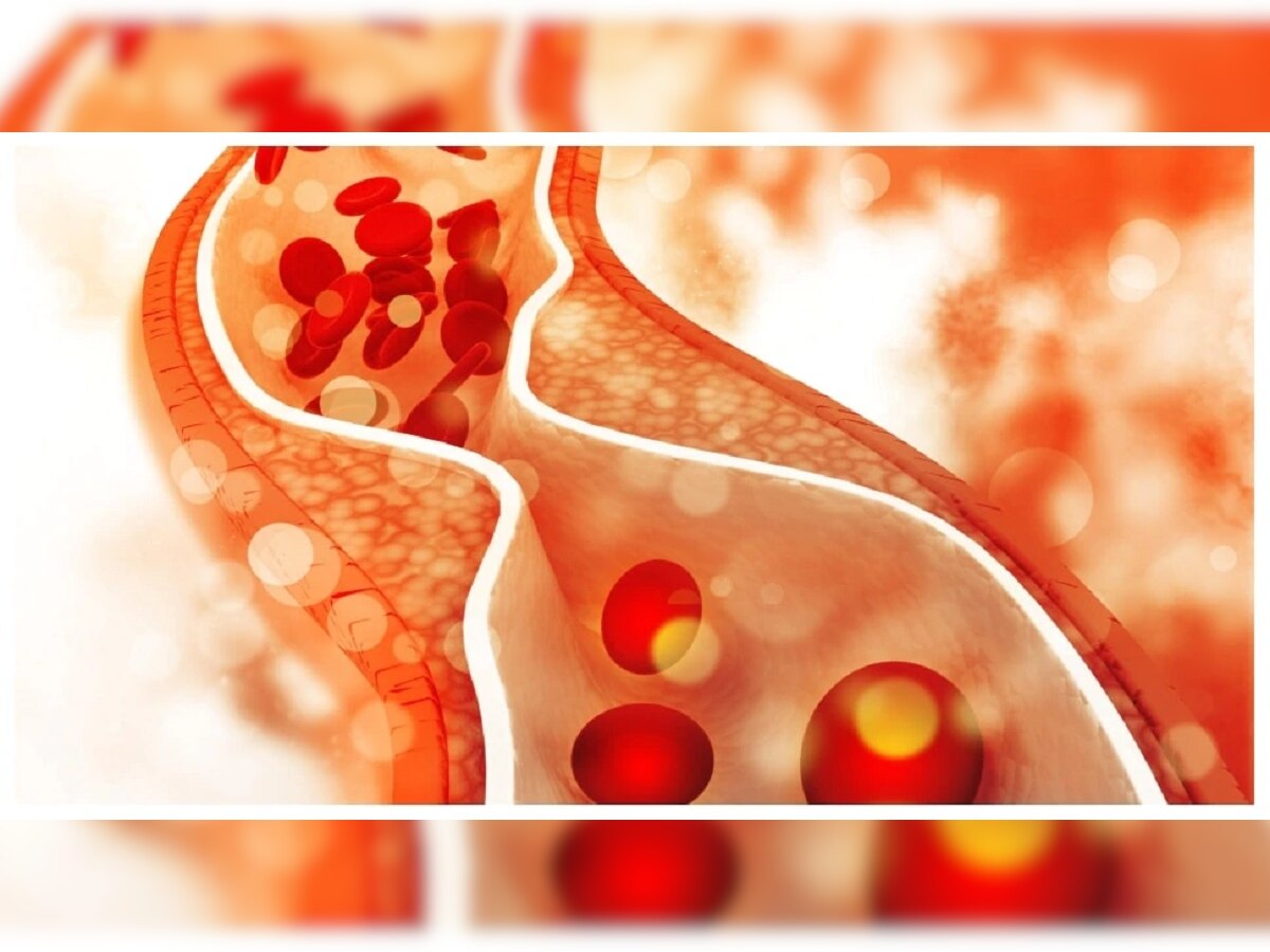 Cholesterol Level By Age : कोणत्या वयात किती हवं तुमचं कोलेस्टेरॉल...आताच जाणून घ्या... title=