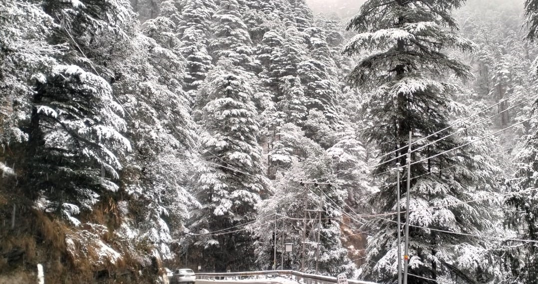 IMD Alert himachal pradesh kashmir receives fresh snowfall 