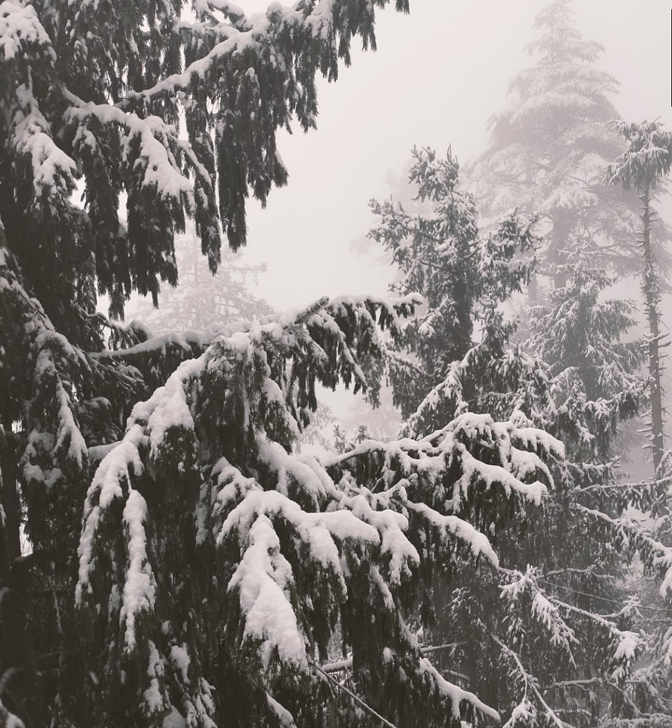 IMD Alert himachal pradesh kashmir receives fresh snowfall 