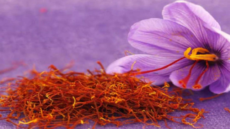 saffron 