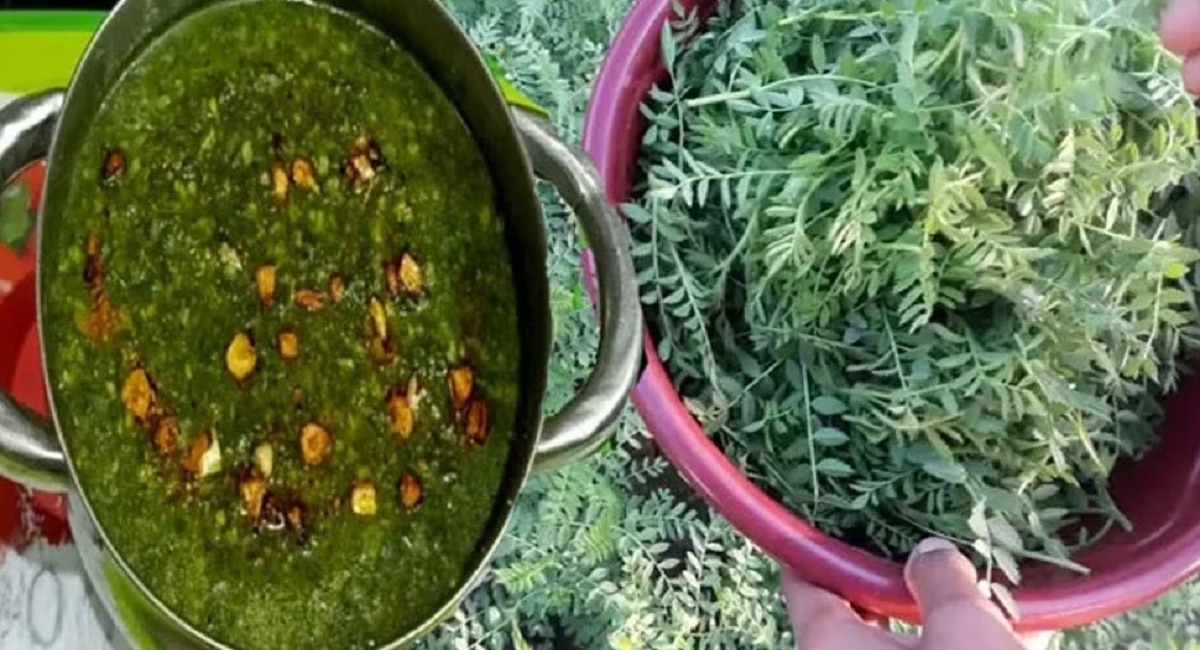 Green Chana Saag: हिवाळ्यात एकदातरी बनवा ही भाजी; सोपी आणि हेल्दी.... करुन तर पाहा 