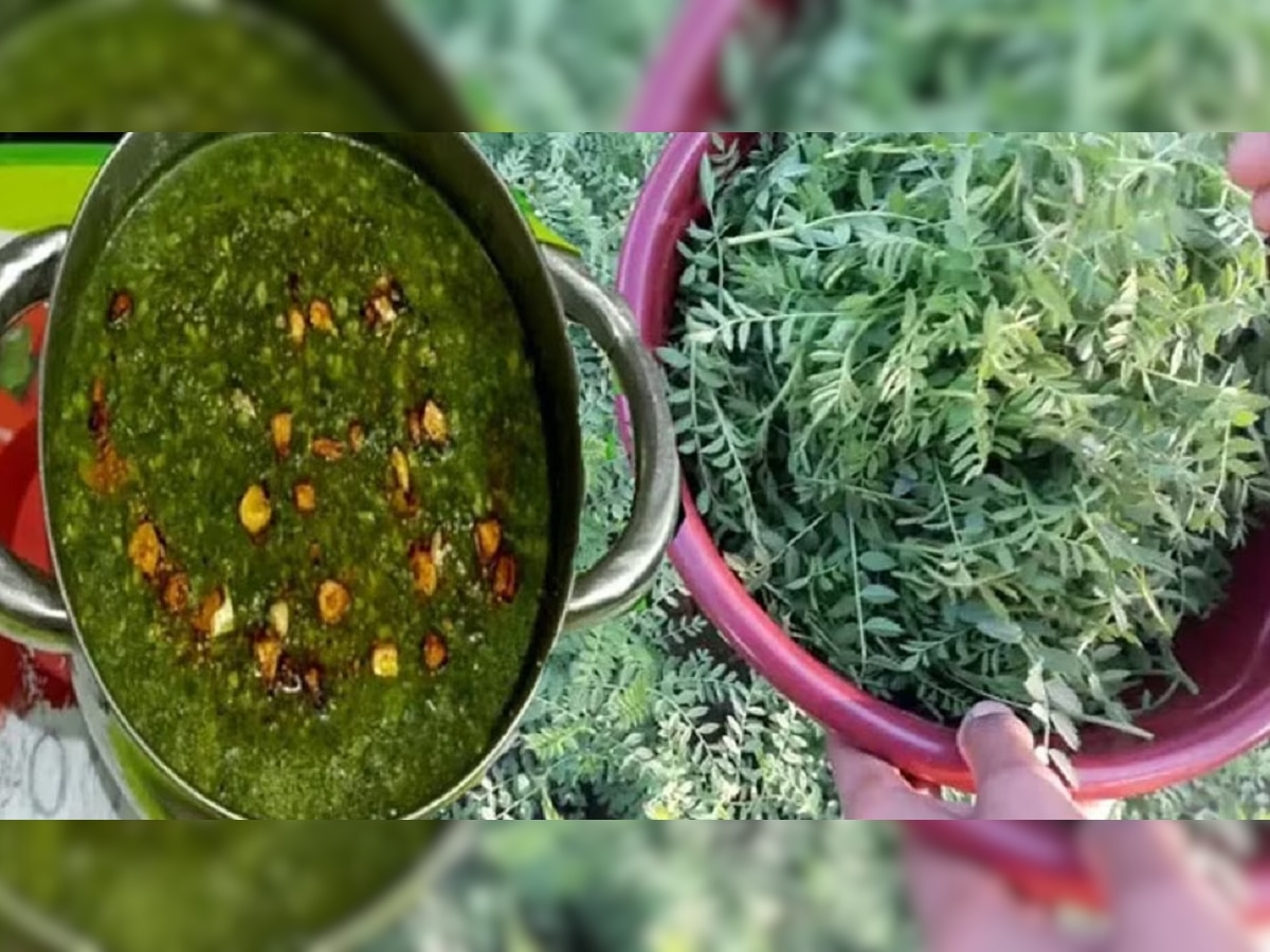 Green Chana Saag: हिवाळ्यात एकदातरी बनवा ही भाजी; सोपी आणि हेल्दी.... करुन तर पाहा  title=