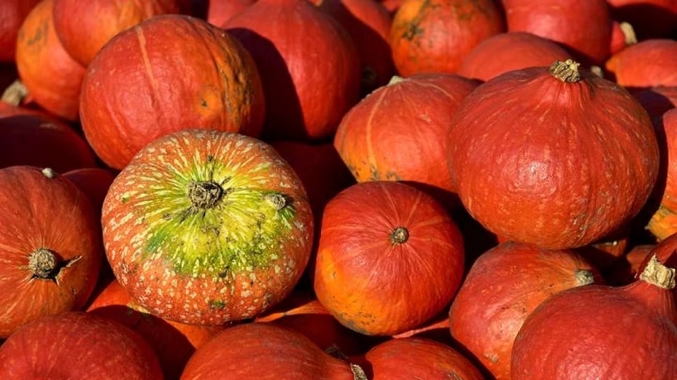 health benefits and importance of Pumpkin know more 