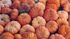 Pumpkin as anti aging substance