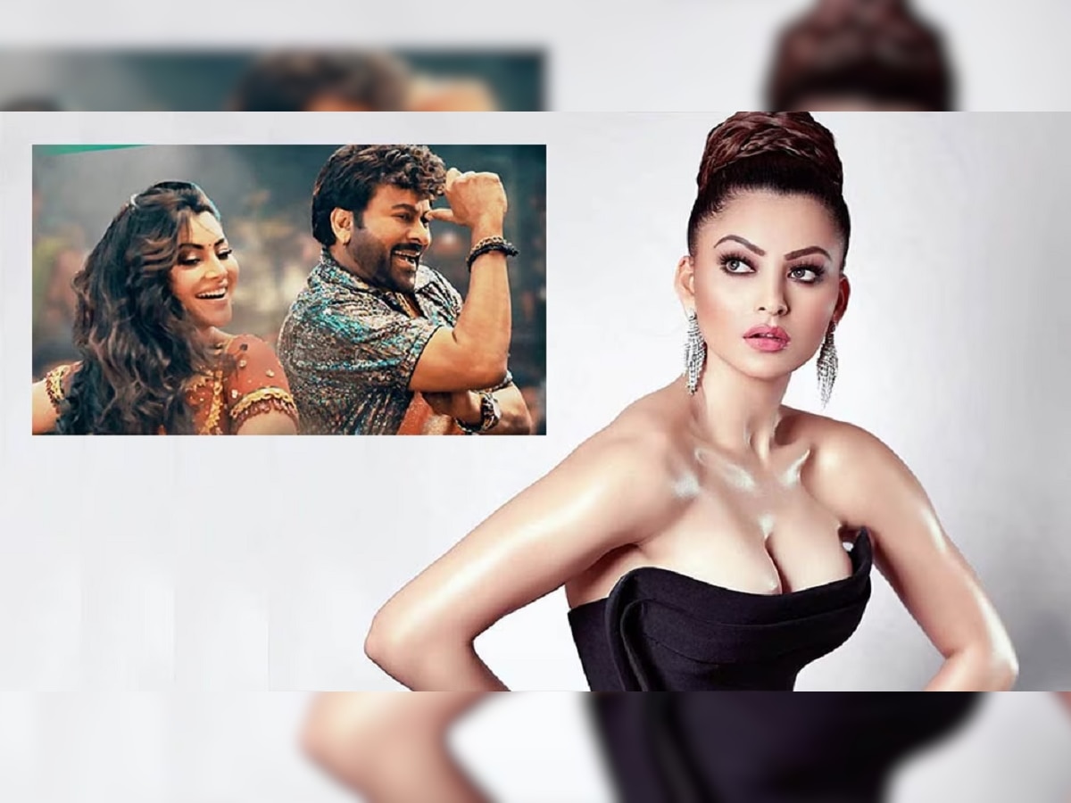 3 मिनिटांच्या Item Song साठी Urvashi Rautela नं घेतले इतके कोटी, वाचून तुम्हालाही बसेल धक्का title=