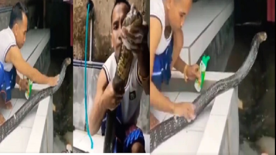 viral snake video : कोब्रा सापाने केली शाम्पूने अंघोळ..Video पाहून येईल अंगावर काटा