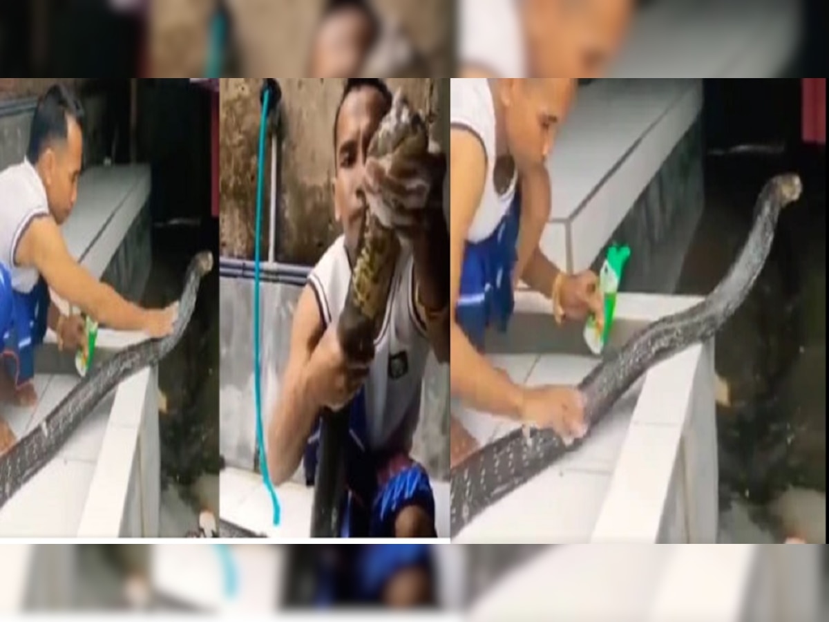 viral snake video : कोब्रा सापाने केली शाम्पूने अंघोळ..Video पाहून येईल अंगावर काटा title=