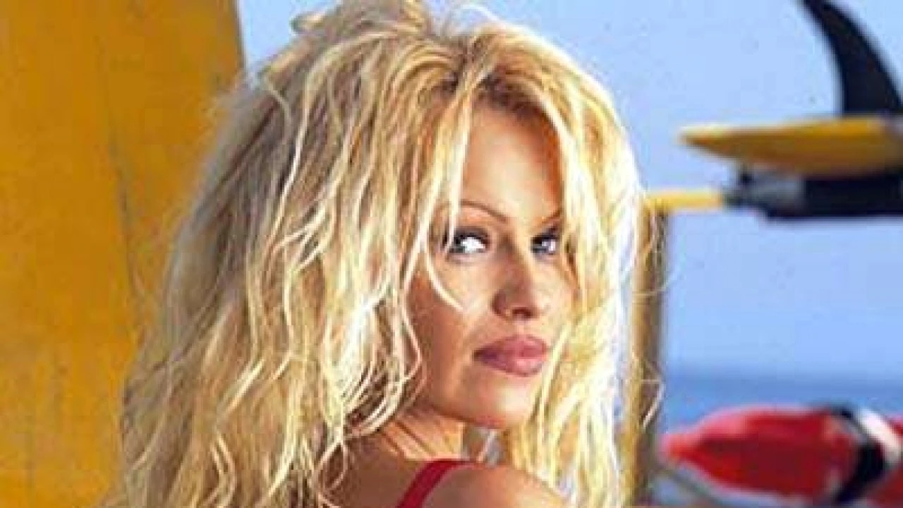 Hollywood Hot Sexy Actress pamela anderson ex husband john left left 81 crores in his will