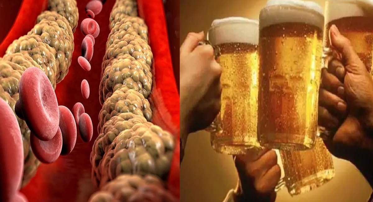 beer drinking really reduce cholesterol Find out what the experts say in marathi news