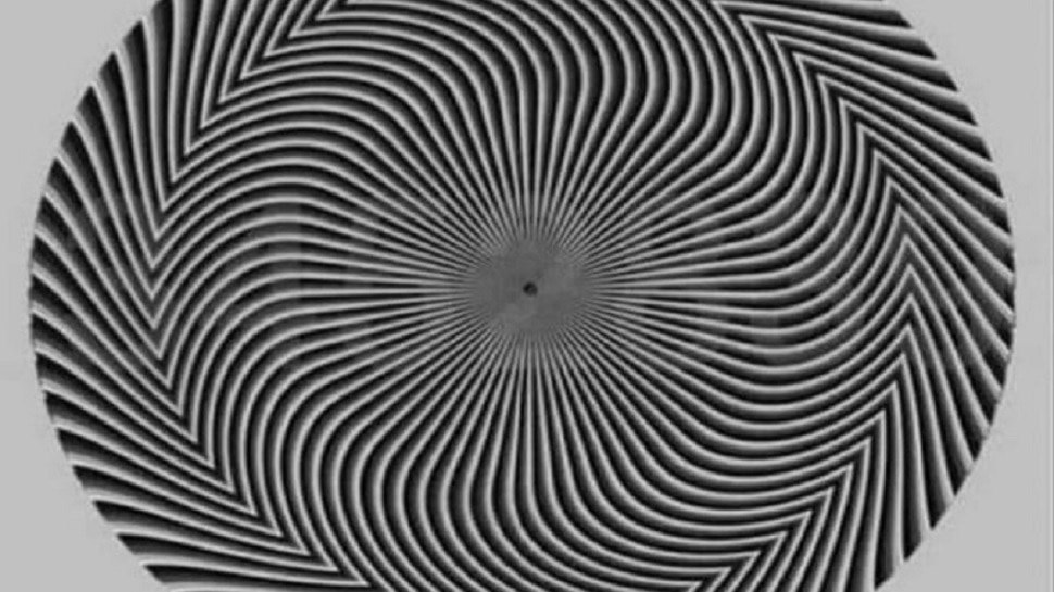 Optical Illusion: &#039;या&#039; फोटोत लपलेले सात नंबर शोधून दाखवा, तुमच्याकडे 30 सेकंदाची वेळ 