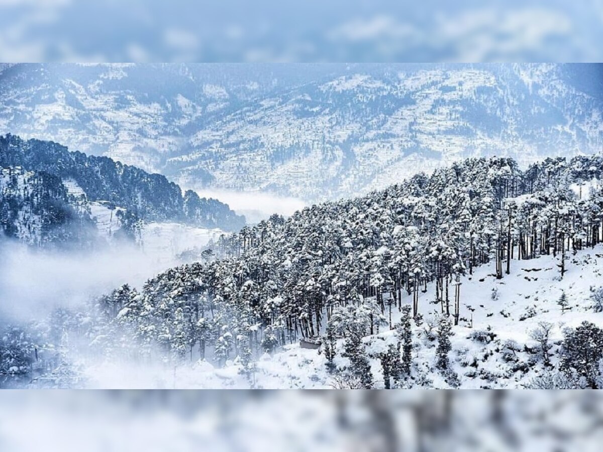 Weather Update: पर्वतीय भागात हिमस्खलनासोबत उर्वरित भारतामध्ये पावसाचा इशारा; पाहा Latest Alert  title=