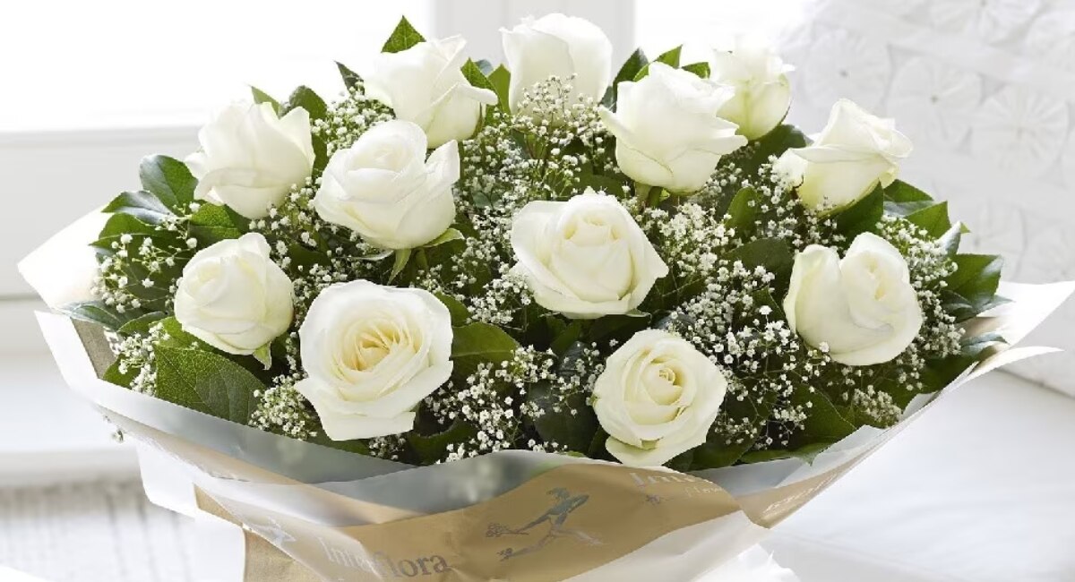 White Roses - Valentine Day 2023