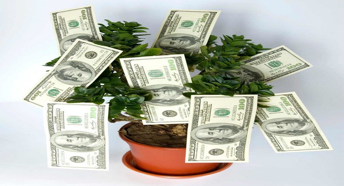 Vstu tips for Money : घरात पैसे खेळता ठेवायचाय ? ही 2 झाडं आवर्जून लावलीच पाहिजेत 