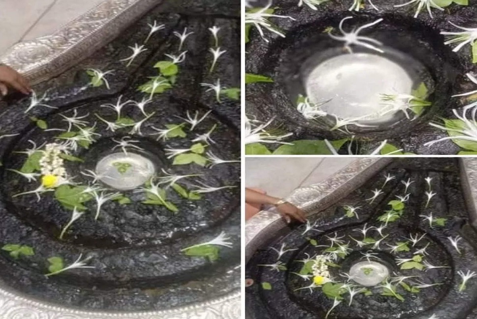 त्र्यंबकेश्वराच्या गाभाऱ्यात बाबा अमरनाथ प्रकटल्याचा दावा साफ खोटा ...