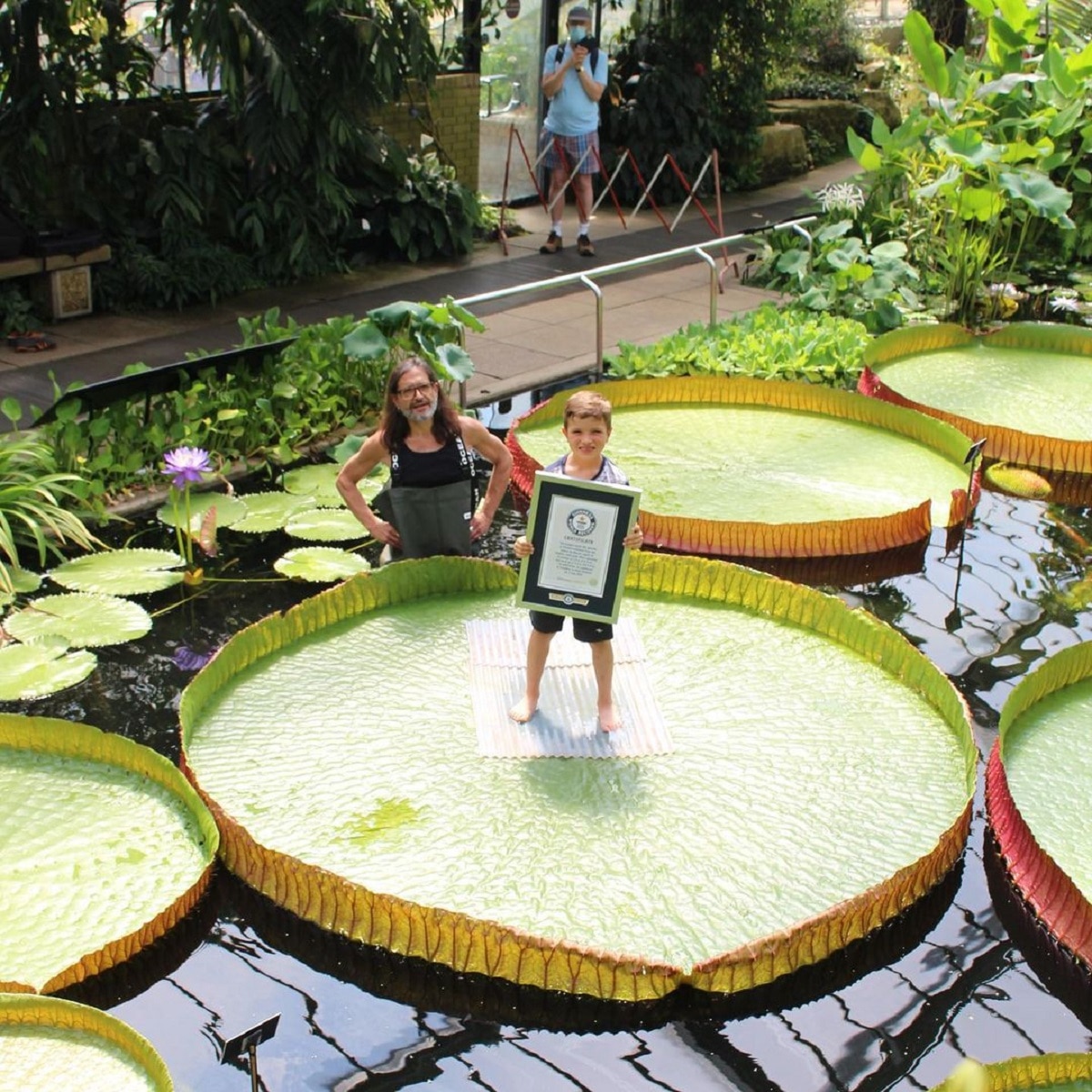 Worlds Largest Leaf