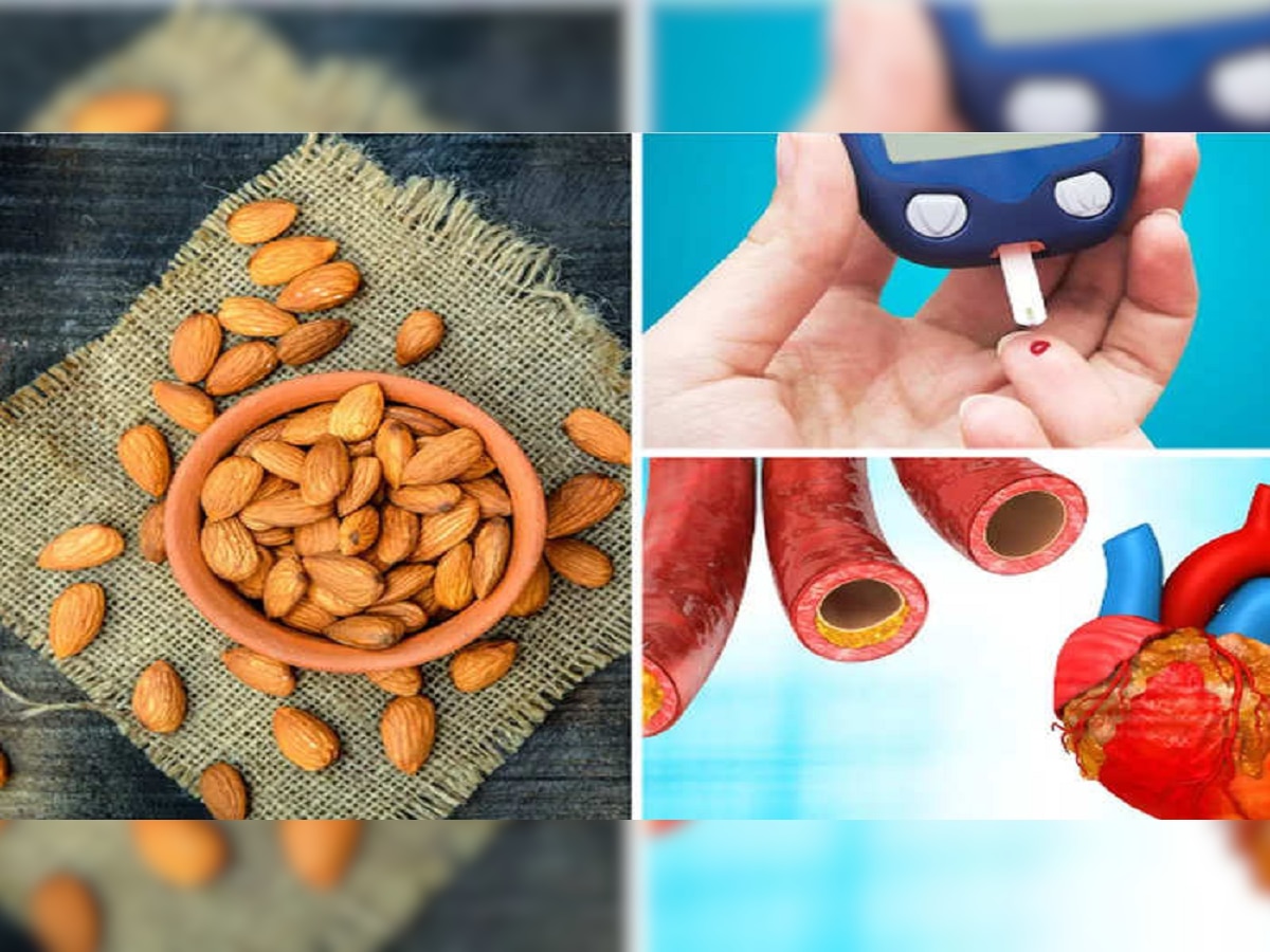 Almonds : बदाम हा Cholesterol - Diabetes चा शत्रू, एम्सच्या डॉ. ने सांगितले 5 जबरदस्त फायदे title=