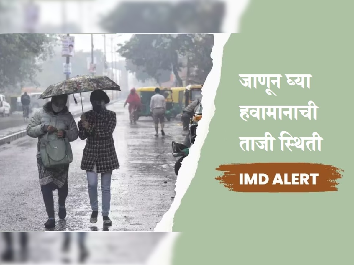 Weather Update: हवामानात मोठा बदल, 'या' राज्यांमध्ये 4 दिवस पावसाची शक्यता, IMD ने दिला इशारा title=