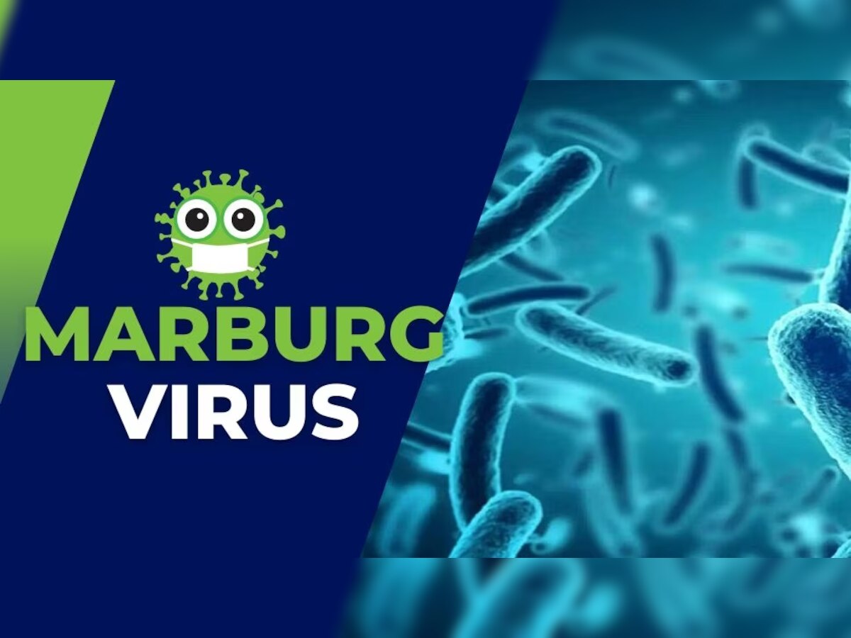 Marburg Virus: संकट अजूनही संपलं नाही; देशात कोरोनाहूनही घातक व्हायरसचे रुग्ण  title=
