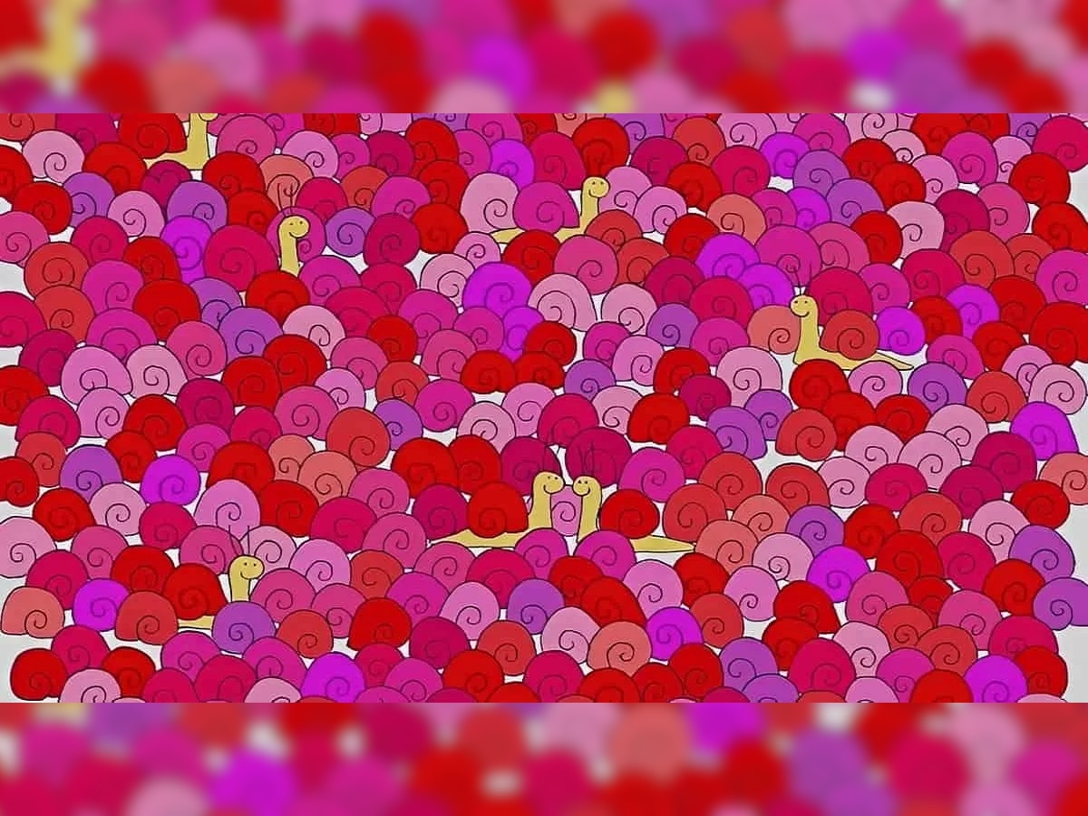 Valentine’s Day Optical Illusion: 'या' फोटोत लपलेला हार्ट शोधून दाखवा, तुमच्याकडे 30 सेकंदाची वेळ  title=