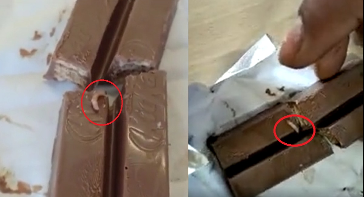 Nanded news Worms hatched in Nestle KitKat chocolates