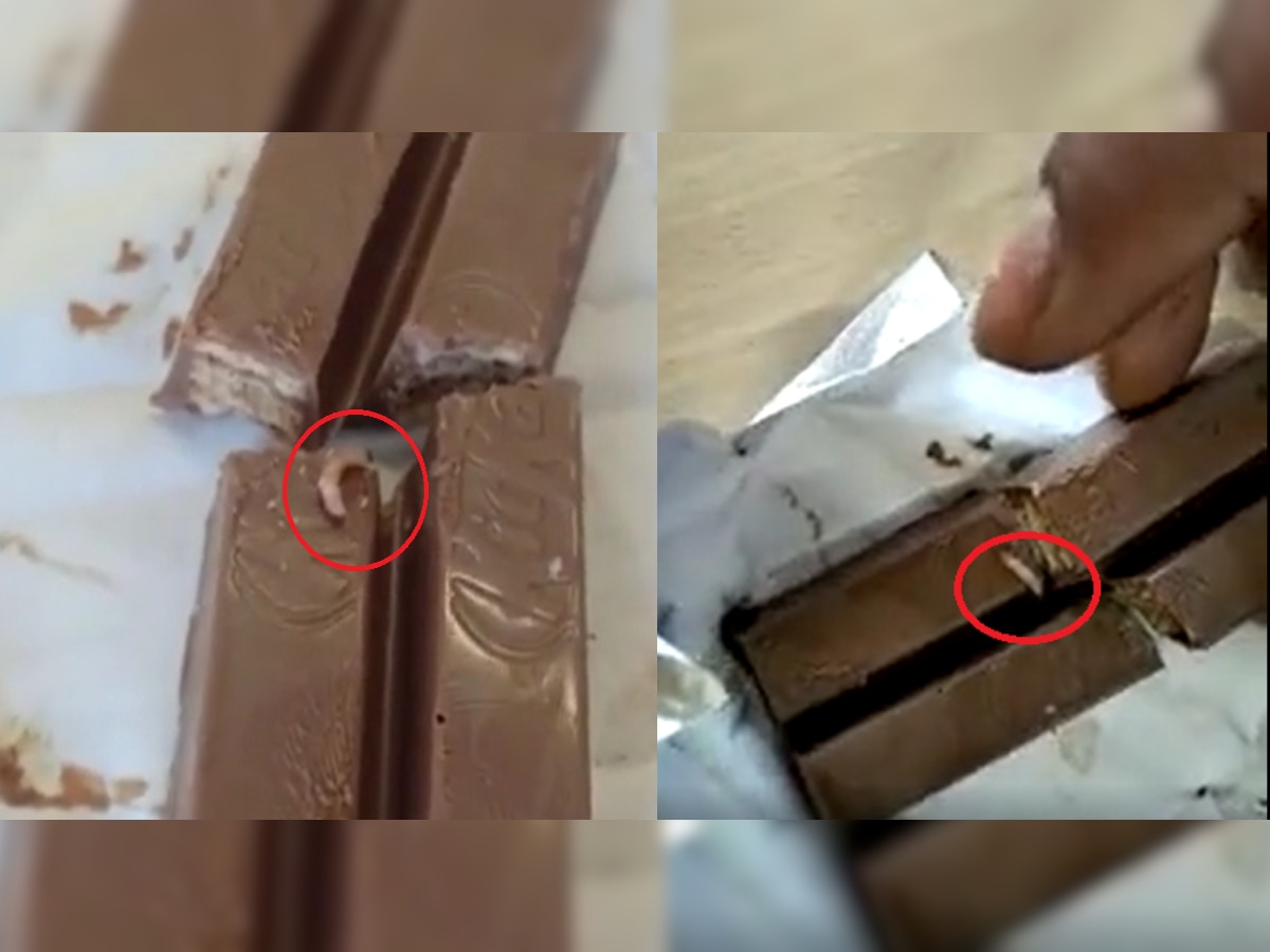 KitKat मध्ये जिवंत अळ्या; चॉकलेट खाणाऱ्यांचंही डोकं चक्रावलं title=