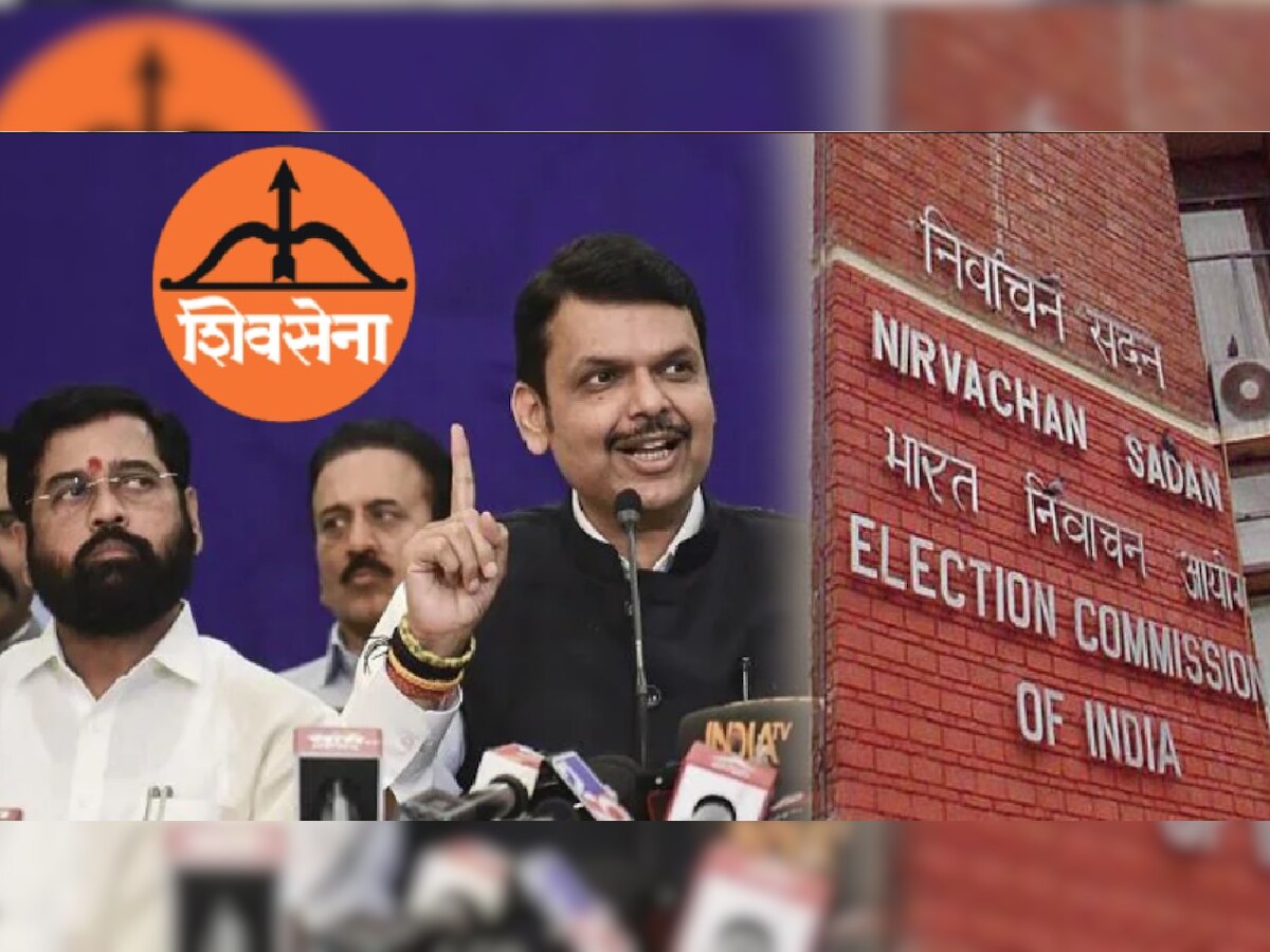 EC Verdict on real Shiv Sena: देवेंद्र फडणवीसांची पहिली प्रतिक्रिया; म्हणाले, "आम्ही पहिल्या दिवसापासून..." title=