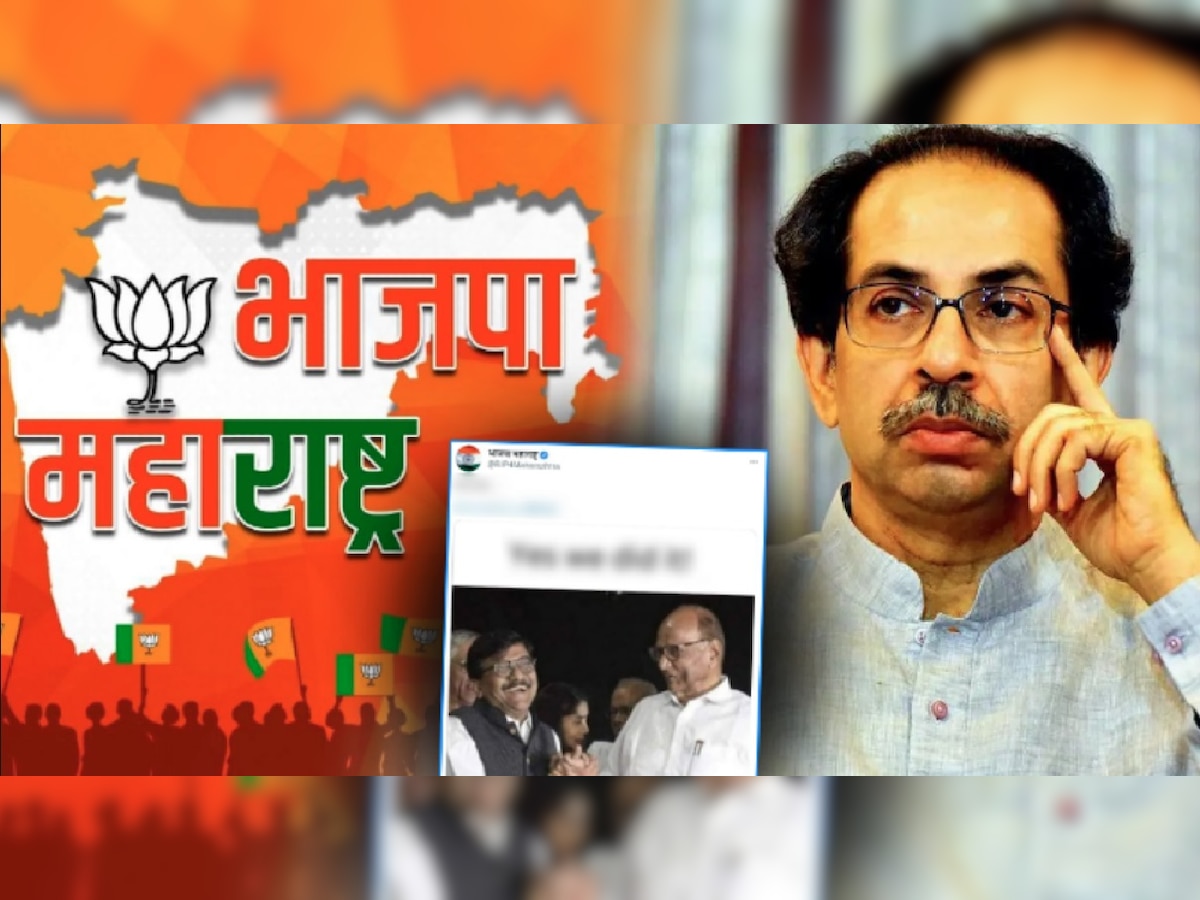 EC Result on Shivsena: ठाकरेंना डिवचण्यासाठी BJP ने पोस्ट केला पवार-राऊतांचा हसरा फोटो; कॅप्शनने वेधलं लक्ष title=